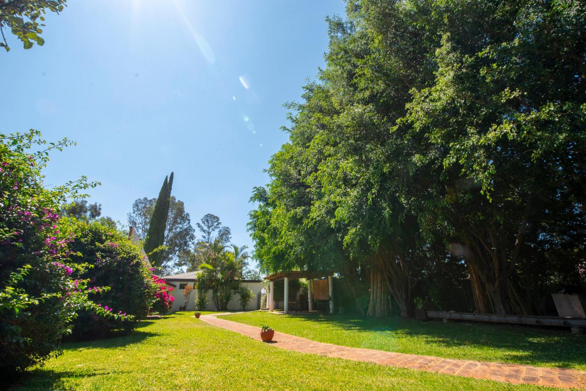 Villa Borghese Hotel Boutique - Adults Only Oaxaca Buitenkant foto