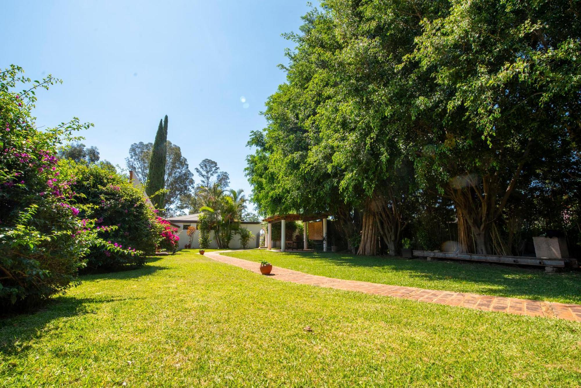Villa Borghese Hotel Boutique - Adults Only Oaxaca Buitenkant foto